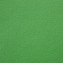 FUTURO - Elma Yeşili