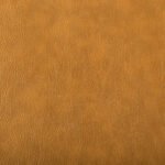 BAMBI - Camel
