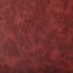 BAMBI - Bordo